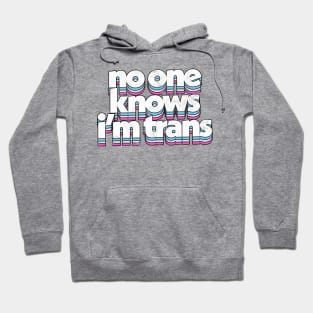 No One Know I'm Trans  - Trans Flag Rainbow Design Hoodie